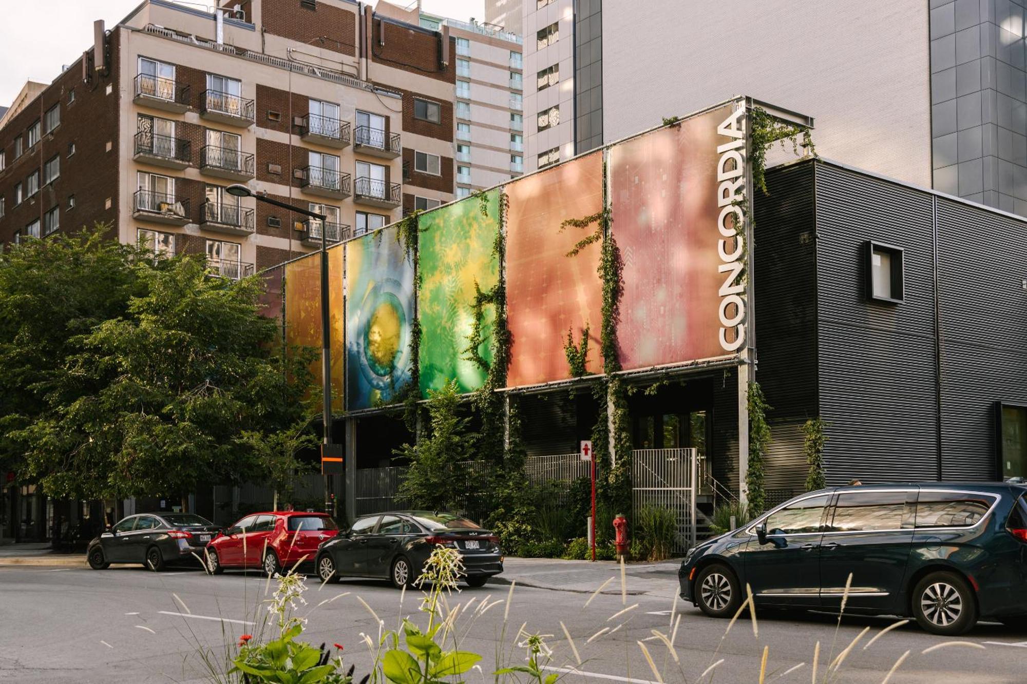 Sonder Maisonneuve